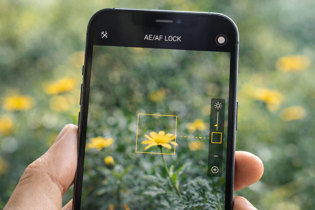 צילום עם נעילת חשיפה ופוקוס